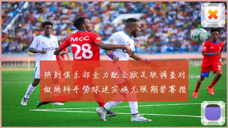 热刺俱乐部全力配合欧足联调查对做纳粹手势球迷实施无限期禁赛措施