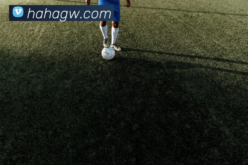 杰伦布朗谈塔图姆回归场上愿望与责任感的坚定决心